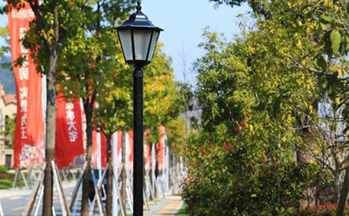 装贵南庭院灯避坑指南:庭院路灯防雷接地要点 装贵南庭院灯避坑指南:庭院路灯防雷接地要点